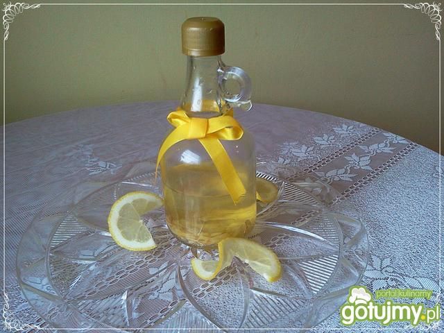 Ekstrakt cytrynowy Ekstrakt cytrynowy