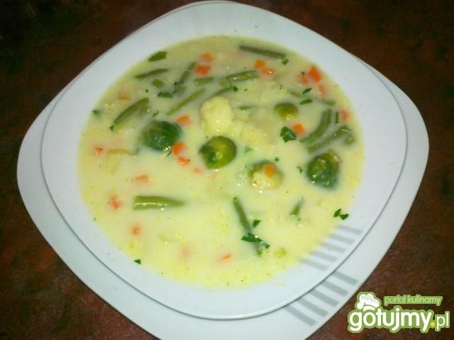 Expressowa zupa jarzynowa