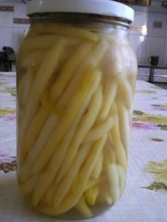 Fasolka konserwowa Fasolka konserwowa