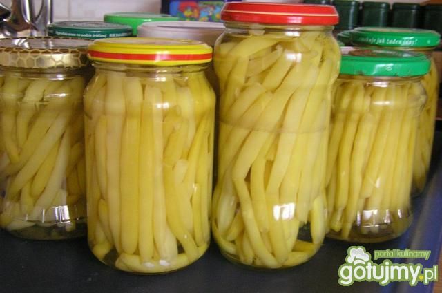 Fasolka szparagowa  Fasolka szparagowa