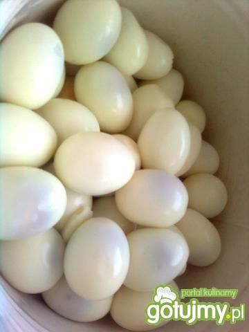 Faszerowane jajka