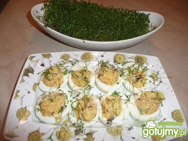 Faszerowane jajka pastą