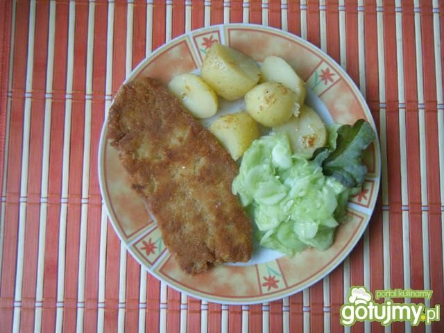 Filet z mintaja w przyprawach i panierce