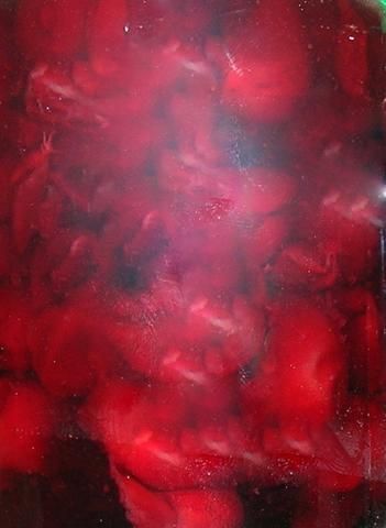 Frużelina wiśniowa