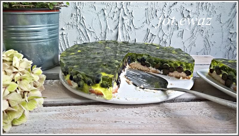 Galaretko - borówko - biszkoptowiec