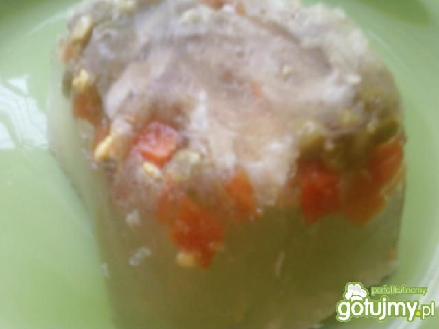 Galat domowy Galat domowy