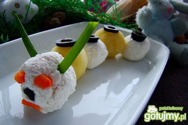 Gąsieniczka obiadowa 