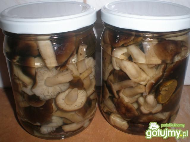 Gąski w marynacie z chilli 2010