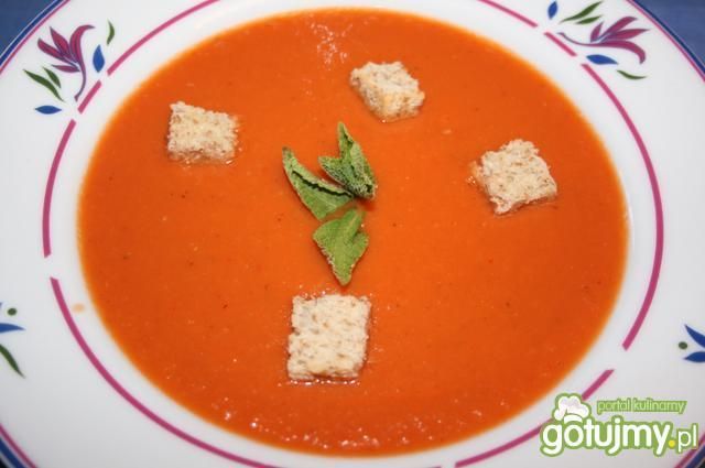 Gaspacho Gaspacho