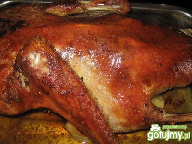 Gęś z piekarnika Gęś z piekarnika