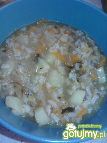 Gęsta ogórkowa z ryżem i ziemniakami Gęsta ogórkowa z ryżem i ziemniakami