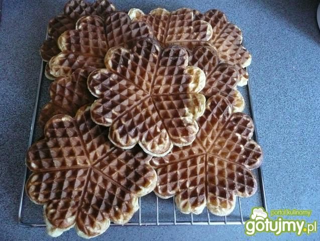 Gofry wg Elfi Gofry wg Elfi