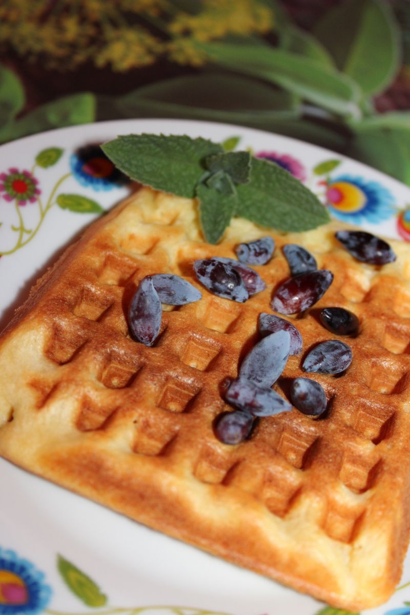 Gofry z płatków jaglanych i kokosa Gofry z płatków jaglanych i kokosa