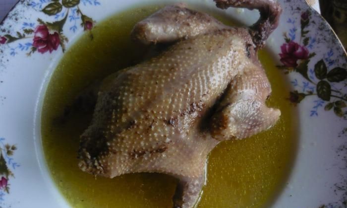 Gołąb w domowym rosole Gołąb w domowym rosole