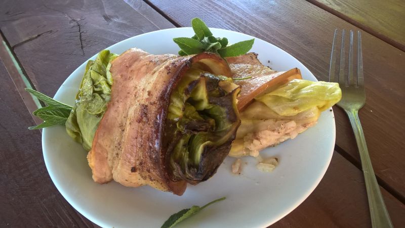 Gołąbki z młodej kapusty w boczku