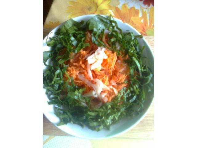 gołębie gniazdo gołębie gniazdo