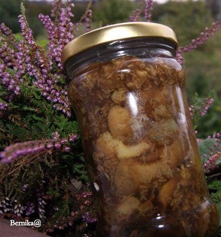 Gotowane podgrzybki w kwaśnej zalewie 