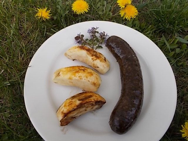 Grillowana kaszanka z jabłkami Grillowana kaszanka z jabłkami