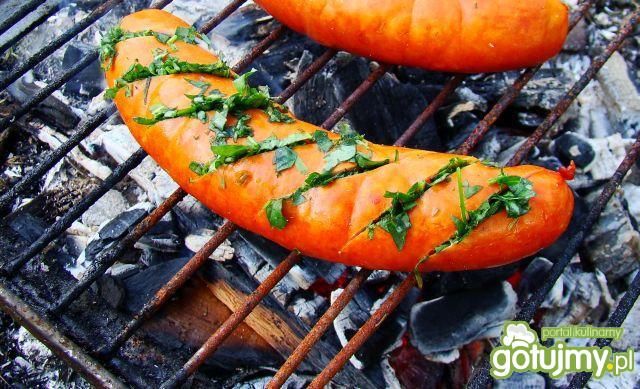 Grillowana kiełbasa z ziołami  Grillowana kiełbasa z ziołami