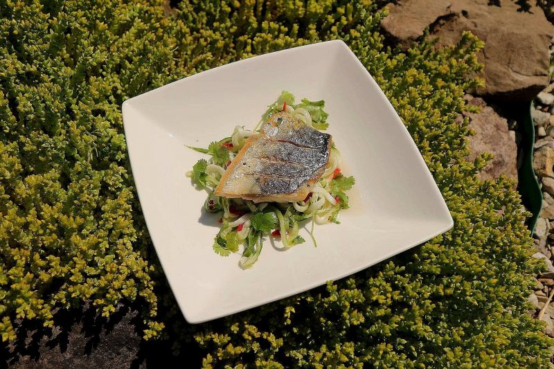 Grillowana makrela z „makaronem” ogórkowym