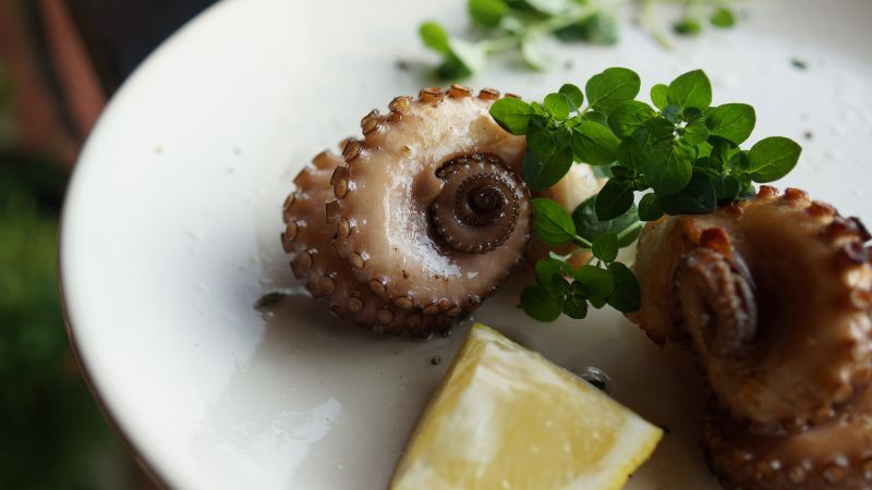 Grillowana ośmiornica