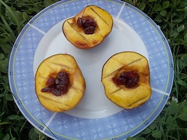 Grillowane brzoskwinie z miodem i żurawiną