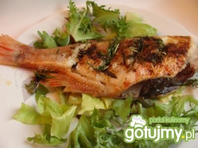 Grillowany karmazyn z tymiankiem