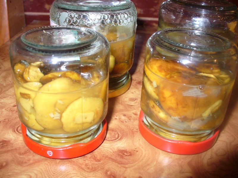 Grzybki leśne marynowane Grzybki leśne marynowane