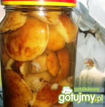 Grzybki leśne w occie Grzybki leśne w occie