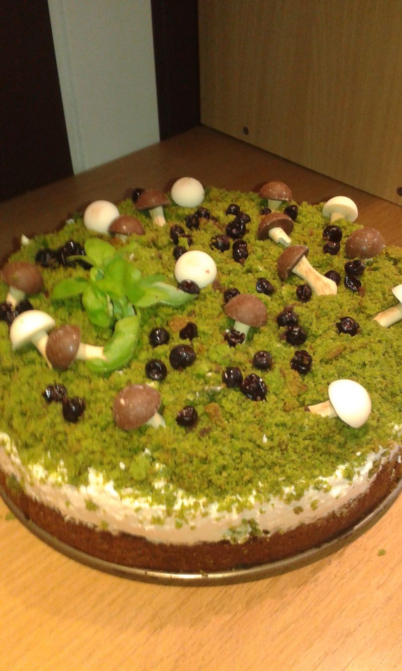 Grzybki na leśnym mchu 