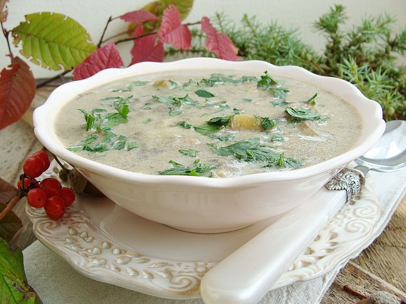 Grzybowa na czerwonych kozakach