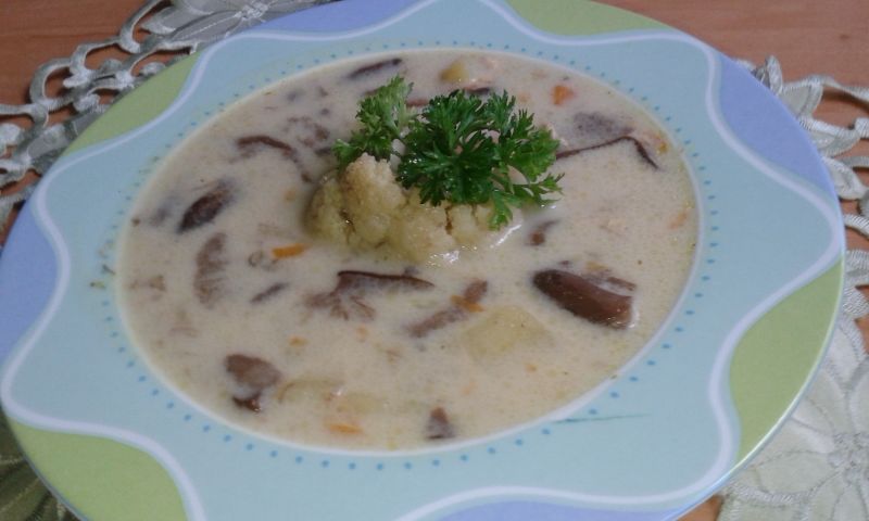 Grzybowa z kalafiorem i śmietaną