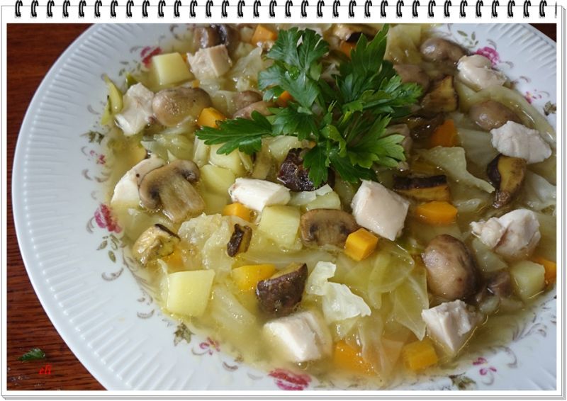 Grzybowy kapuśniaczek Eli  Grzybowy kapuśniaczek Eli