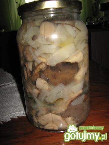 Grzyby leśne marynowane