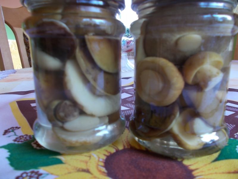 Grzyby marynowane.