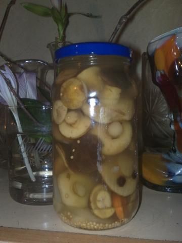 Grzyby marynowane.