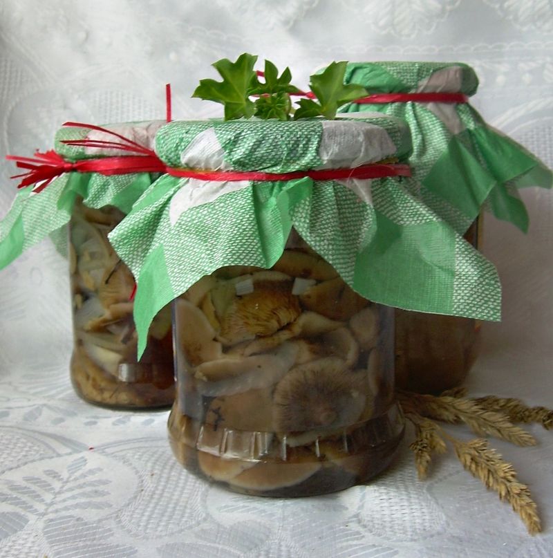 Grzyby marynowane. Grzyby marynowane.