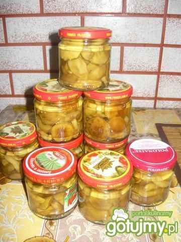 Grzyby marynowane wg Danusia19671