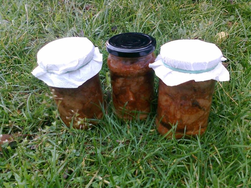 Grzyby w koncentracie pomidorowym