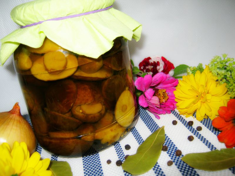 Grzyby w occie Grzyby w occie