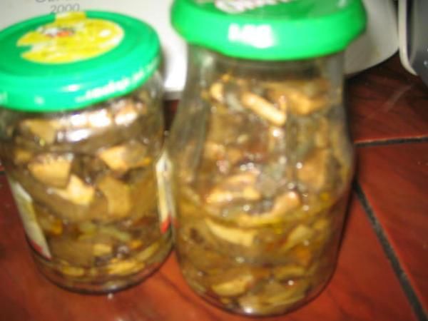 grzyby w sosie własnym