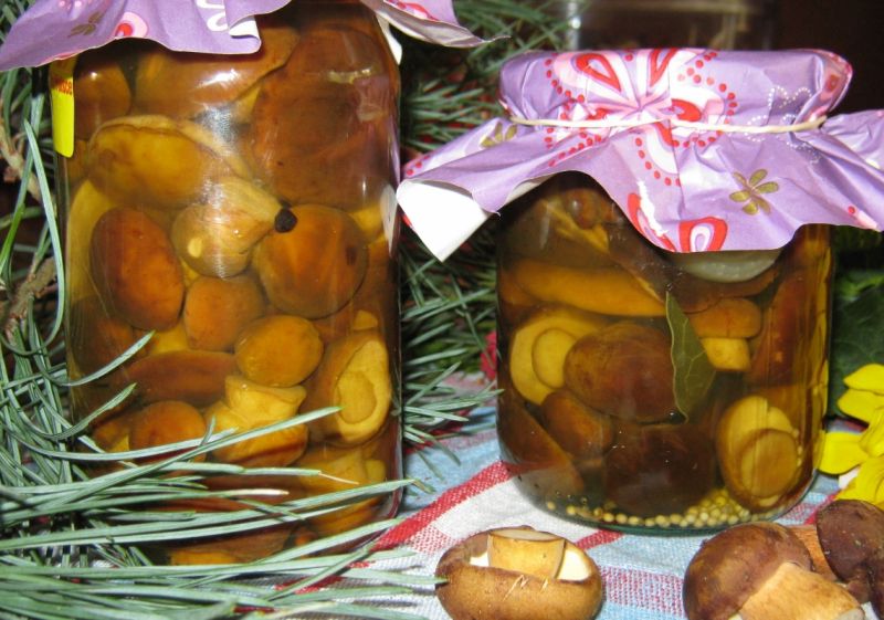 Grzyby w zalewie octowej