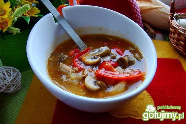 Gulasz ala strogonow Gulasz ala strogonow