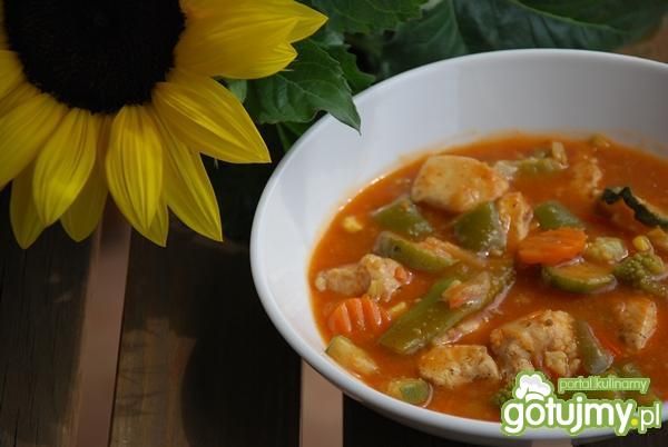 Gulasz warzywno- mięsny