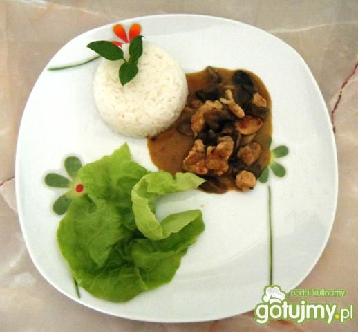 Gyros z piersi z kurczaka Gyros z piersi z kurczaka