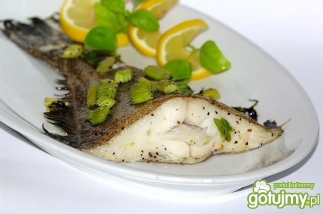 Halibut Halibut