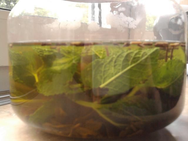 Herbata po marokańsku