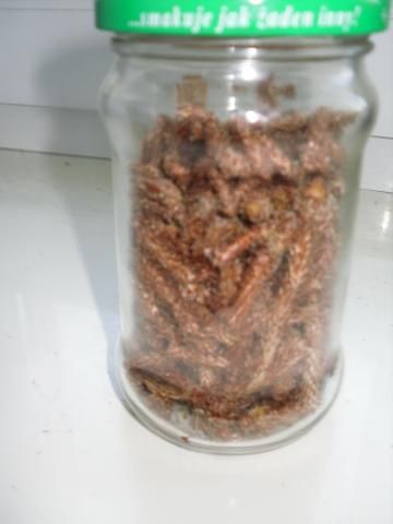 Herbata sosnowo-miodowa na przeziebienia