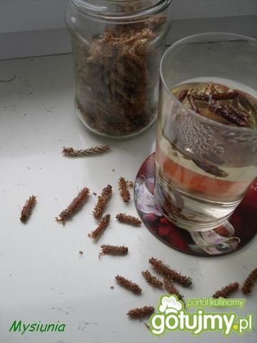 herbata z pędów sosny  herbata z pędów sosny