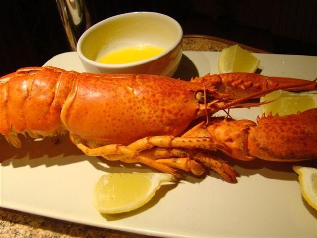 Homar - pierwsze starcie